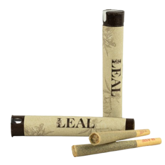 Leal Prerolls Ppicture