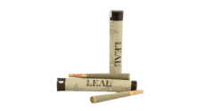 LEAL Pre-Rolls for Homepage